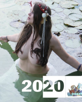 Cover Kalender 2020